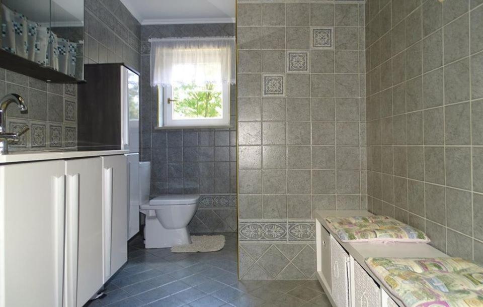 Apartmaji Cujez Recica ob Savinji 外观 照片